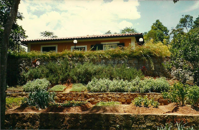 4cce7-foto01a25e225802593hortalocandadellamimosa