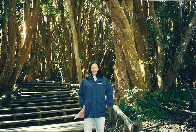 Foto 17 - Bosque Arrayanes