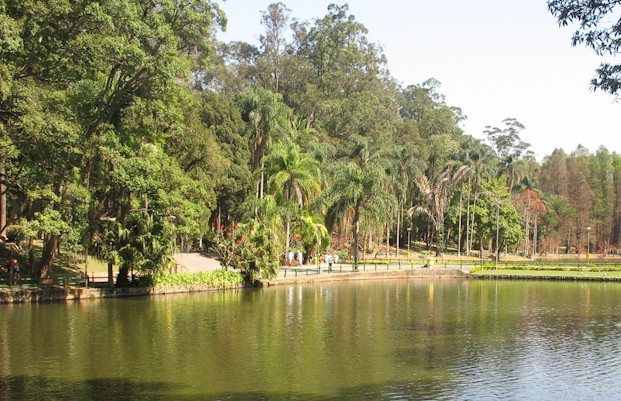 1762c-foto10-hortoflorestal