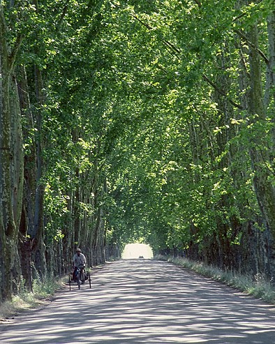 010e8-foto1325e225802593fourseasons25e225802593entrada25e225802593carmelo