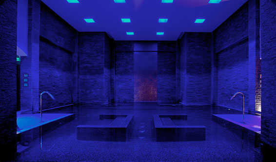 5bd8f-foto10-rainforest