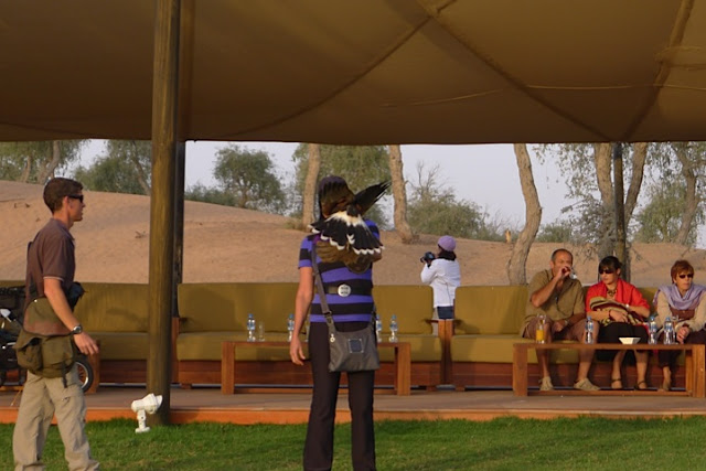 e543a-foto9a-falcacc83oi