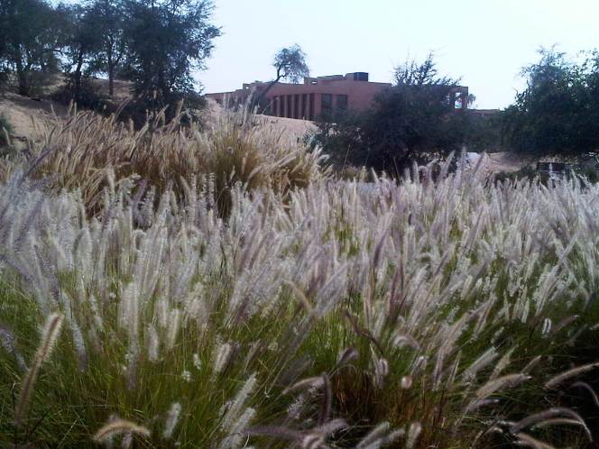 f82c3-foto4-jardimhotelbanyantree