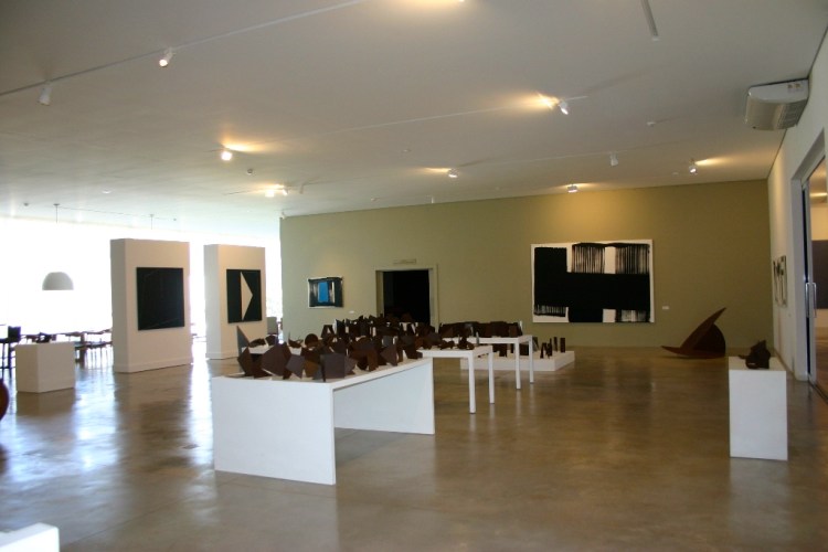 5a8f0-foto9e28093amilcardecastronoinstitutofigueiredoferraz