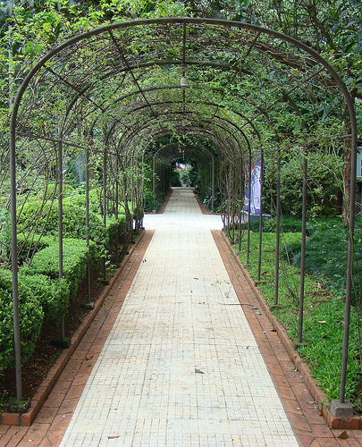 05d62-foto13-casadasrosase28093jardim