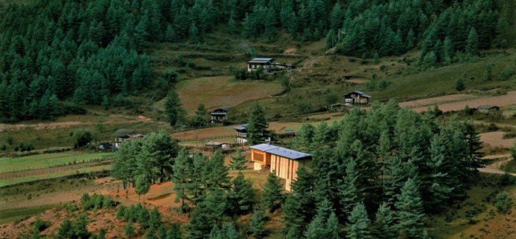 Foto 5 - Aman Resort Paro