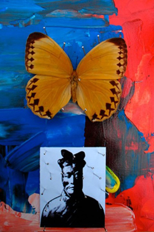 9cbd1-fernanda-barata2