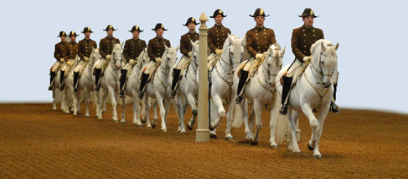 3f32a-mundoequestrelipizzaner