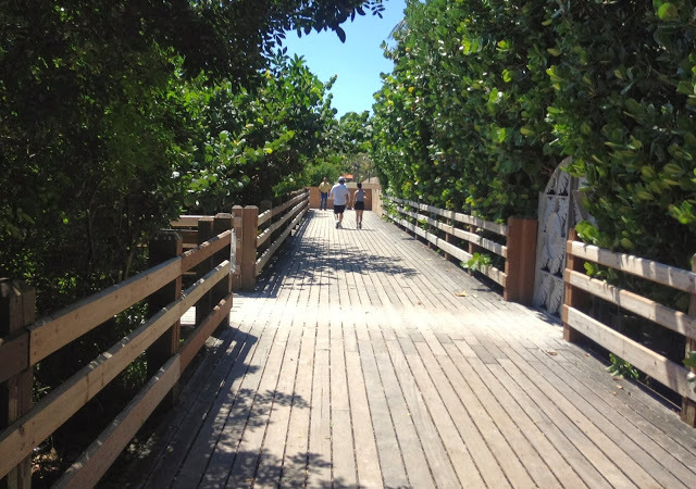 Foto 14 - Foto da Praia