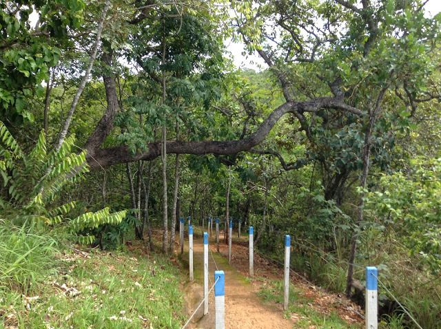 Foto 7 - Caminho da Cachoeira