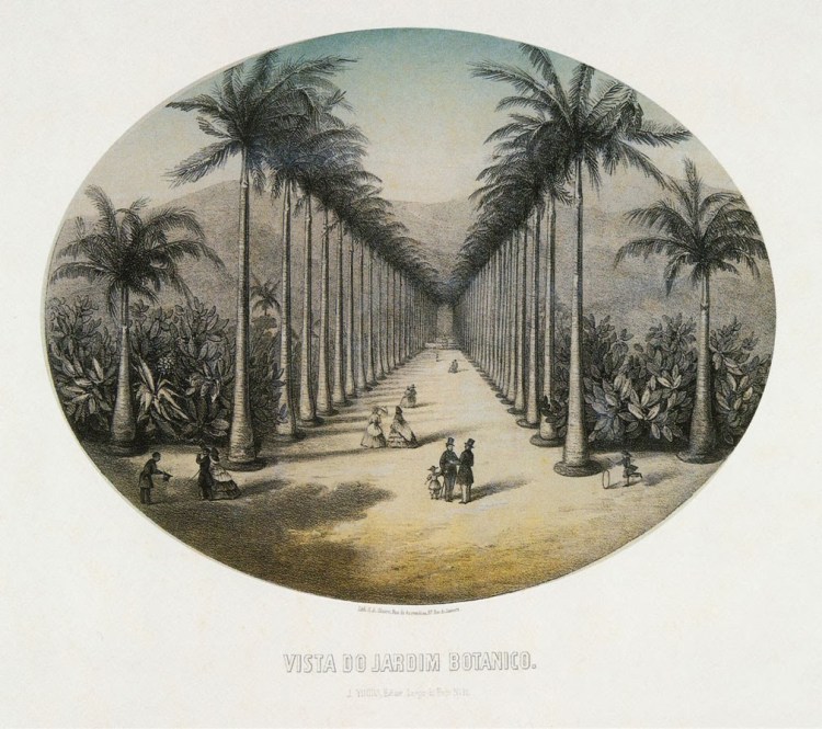 c63da-vista_jardim_bot_nico