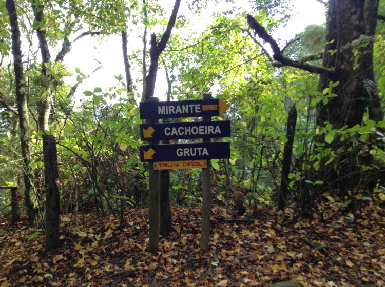 7d4ac-foto2-lenz_7319