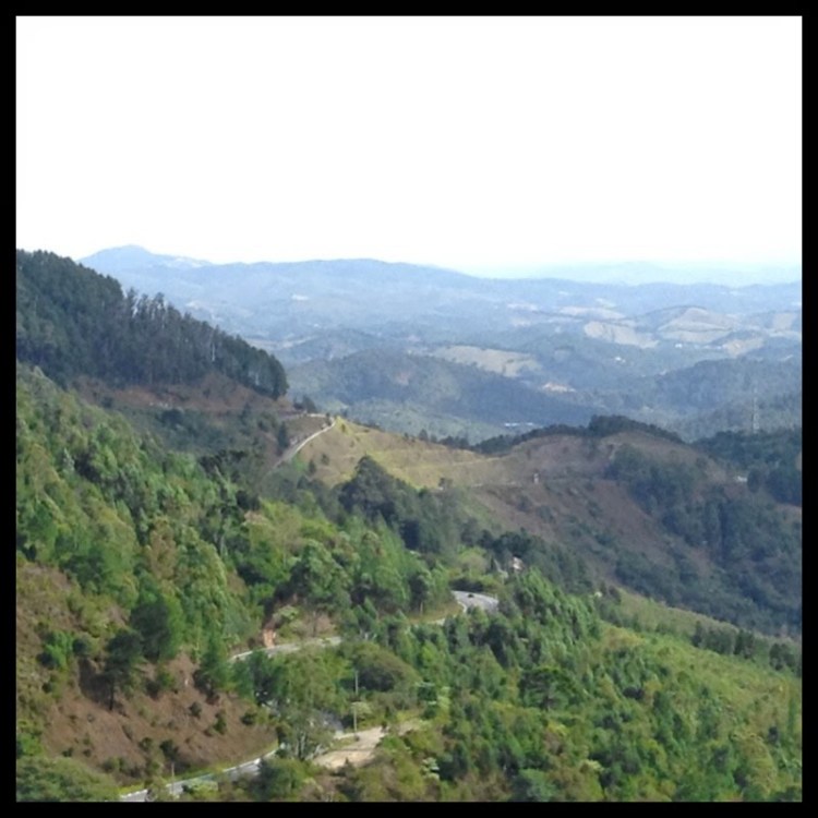 fdc2a-fotolocawebcamposcomborda