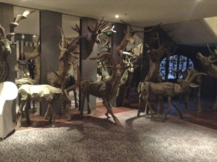 aa962-foto2b72b-2bbichos2broyal2bmanceau