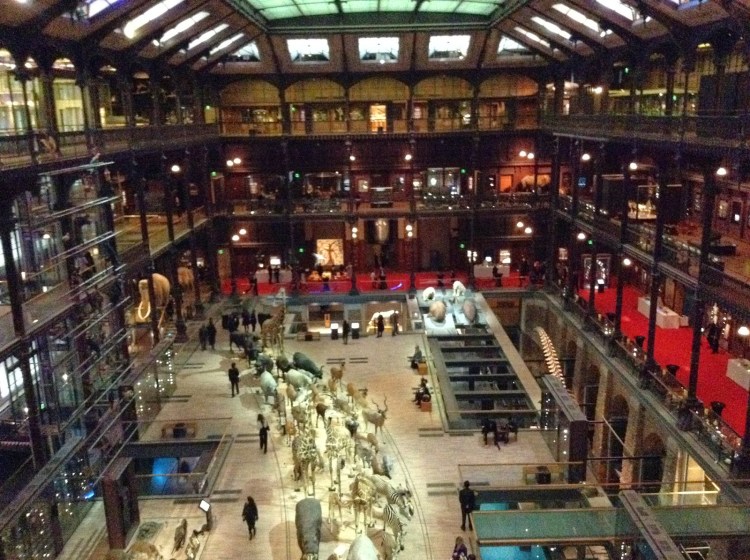 eaf45-foto2b132be280932bmuseu2bde2bhistocc81ria2bnatural