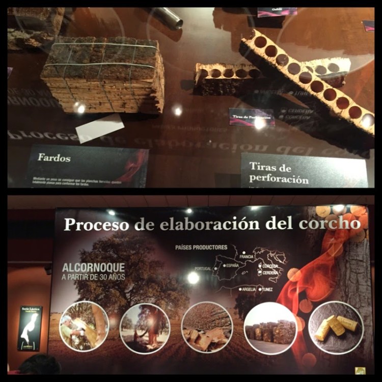 46d7f-foto2b92b-2bpreparaccca7acc83o2bde2brolhas