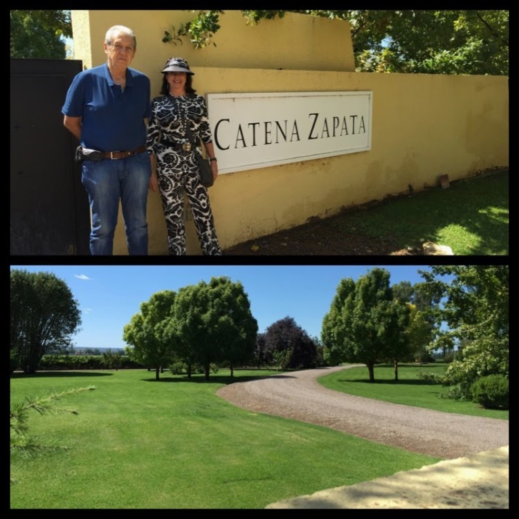 5498b-foto2b142b-2bbodega2bcatena2bzapata