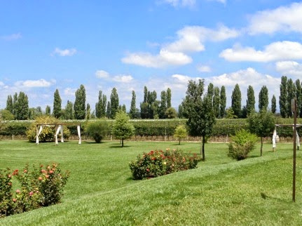 Foto 4 - Bodega Belasco de Baquedano