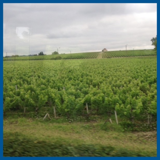 66d2d-foto2b52b-2bvideiras