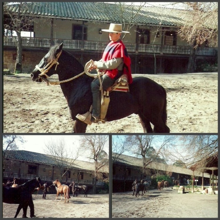 f3c12-foto2b232b-2bcombo2blos2blingues