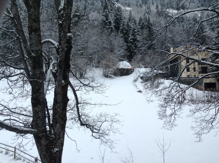 858bc-foto2b132b-2bimg_1834