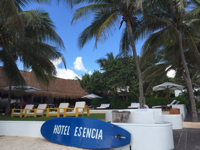 Foto 6 - Hotel Essencia