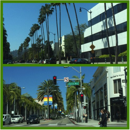 Foto 12 - Rodeo Drive