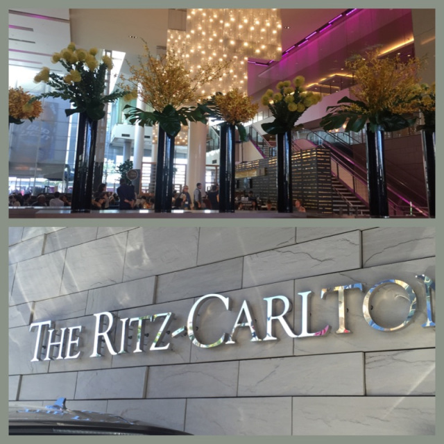 Foto 16 - Hotel Ritz Carlton (combo)