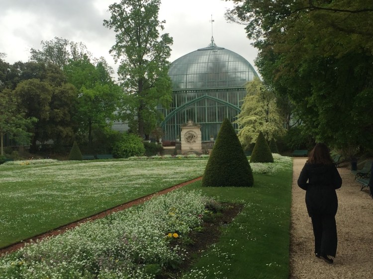 70503-foto2b42b-2bserres2bd2527auteuilimg_6877