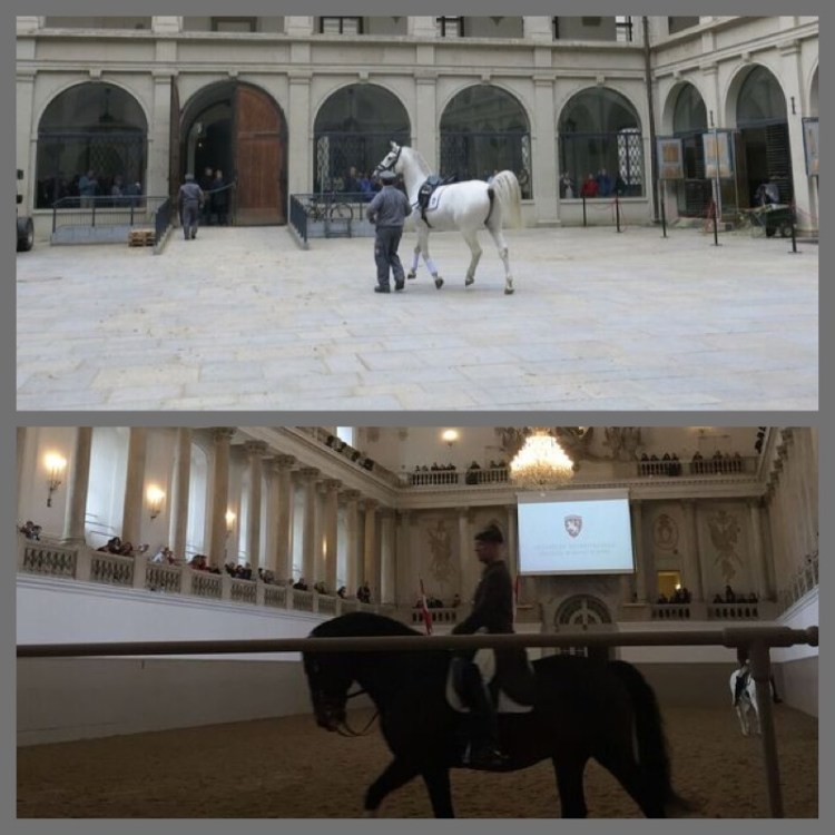 foto-8-spanish-riding-school