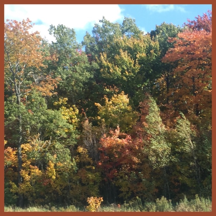 foto-1-paisagem-outono