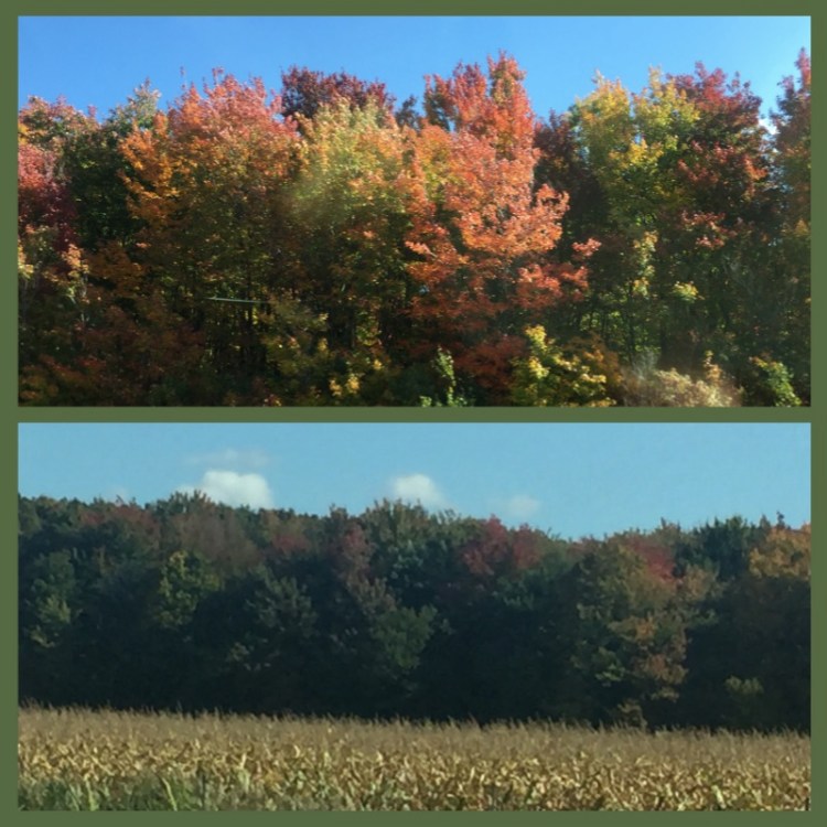 foto-2-estrada-para-quebec