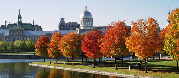 foto-3-montreal-no-outono