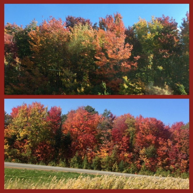 foto-8-estrada-para-quebec