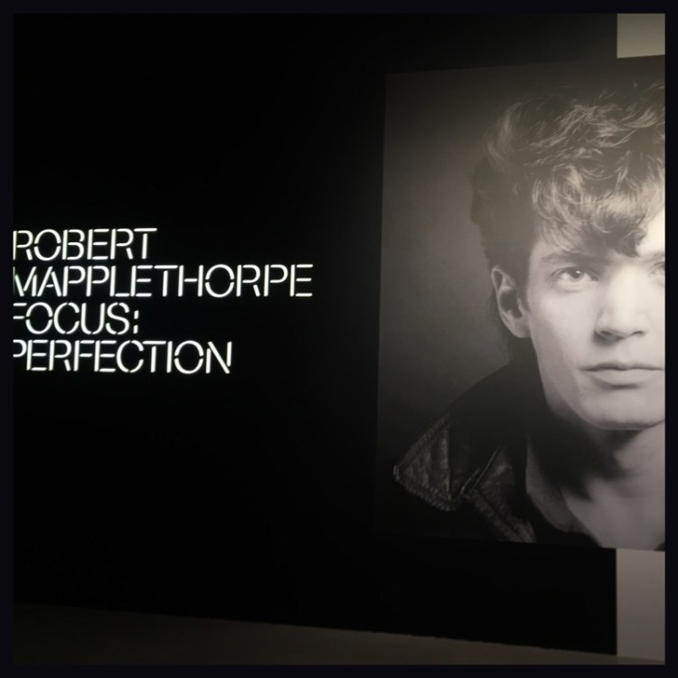 foto-8-exposic%cc%a7a%cc%83o-mapplethorp