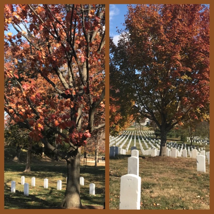 foto-3-cemiterio-de-arlington