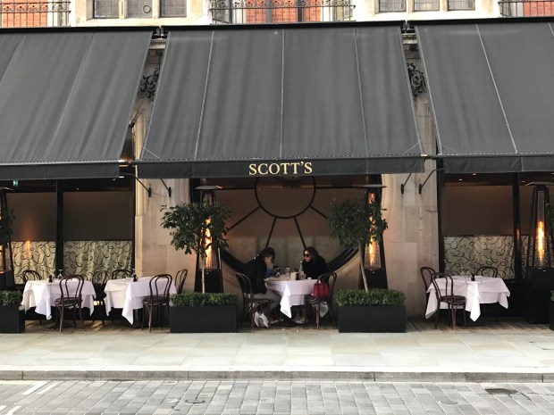 Foto 18- restaurante Scott'sIMG_3402