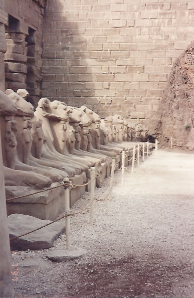 Foto 17 - Templo de Karnak avenida das Esfinges 3km até o templo de Karnak.Egito 31