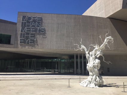 Foto 4 Museo MAXXI