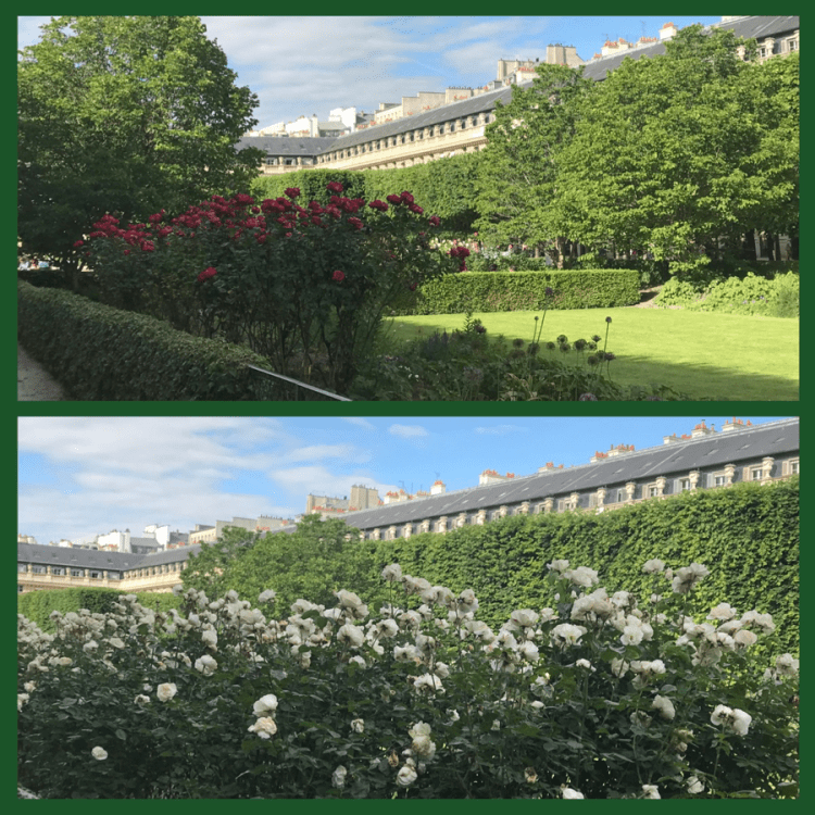 Foto 12 - Jardin du Palais Royal