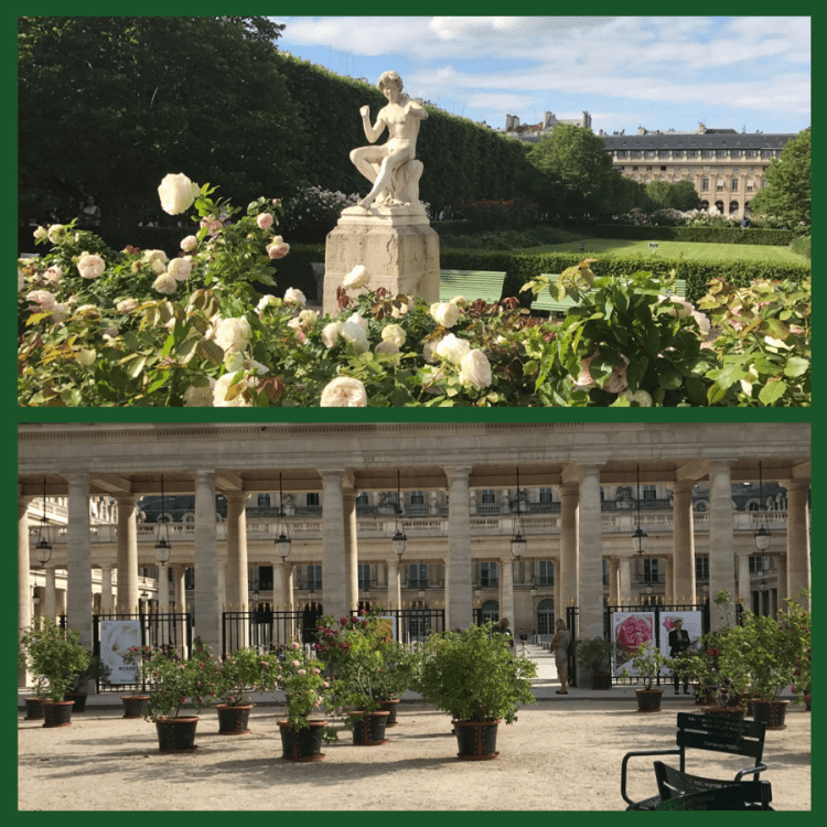 Foto 13- Jardin du Palais Royal 2