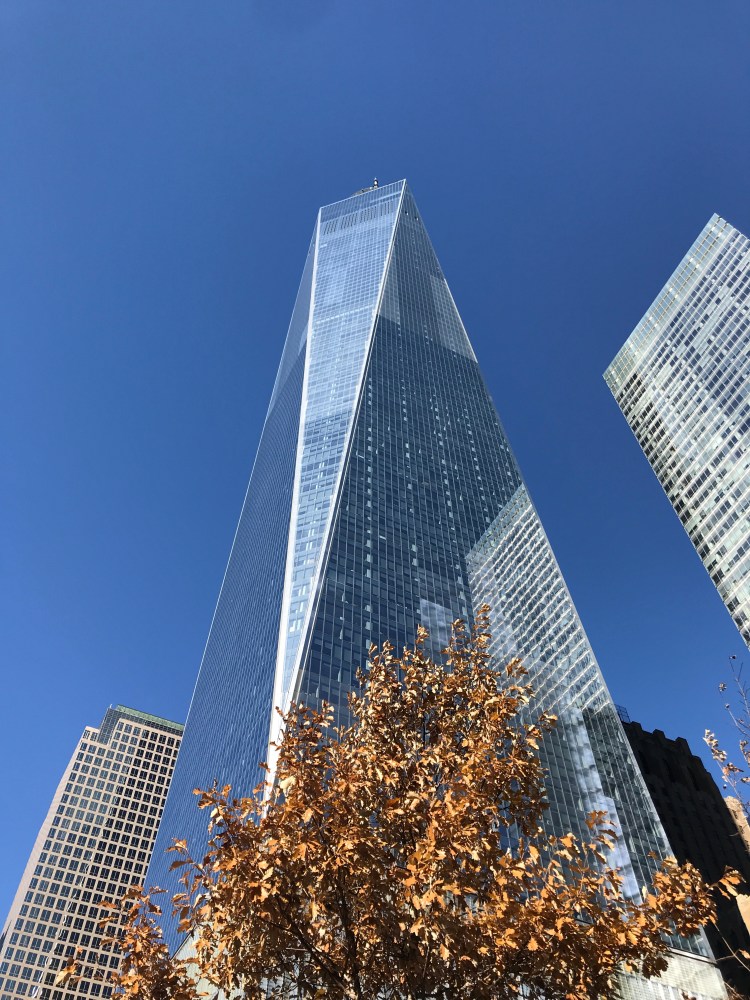 Foto 23 - One world IMG_3708