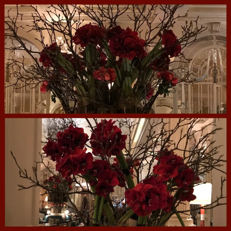 Foto 12a - Hotel Claridge 1