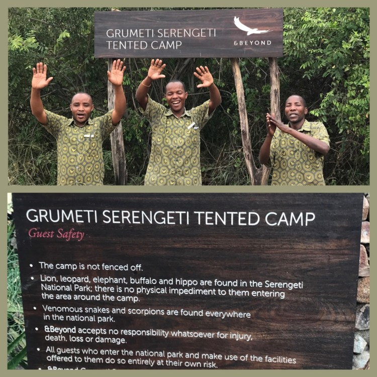 Foto 14 - Serengeti Camp