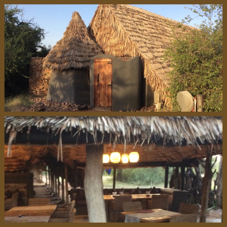 Foto 15 - Grumeti Serengeti