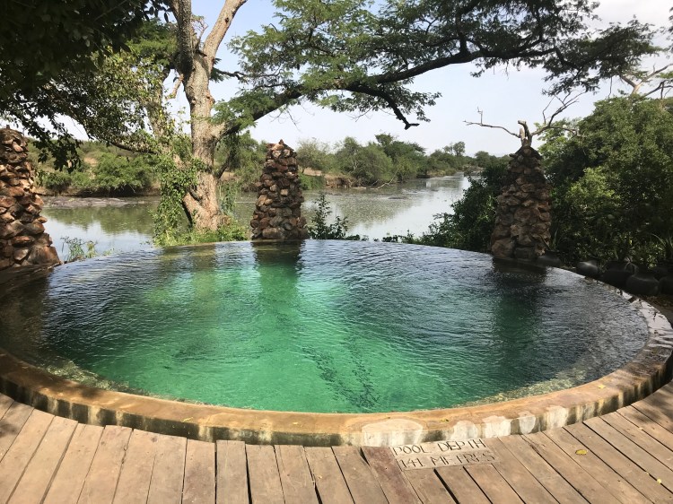 Foto 18 - Piscina Hotel Serengeti