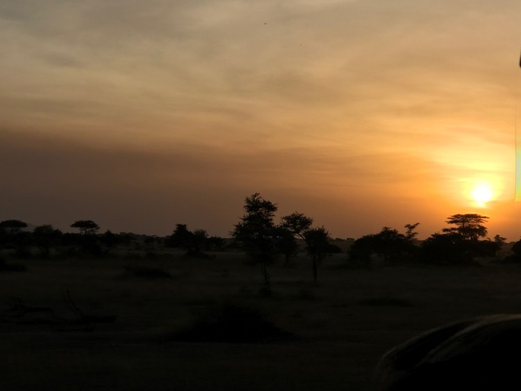 Foto 21 - Por do Sol