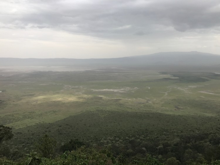 Foto 7 - Cratera de Ngorongoro