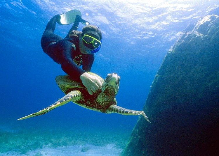 Foto 5 - Projeto Tamar