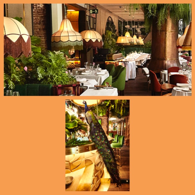 Foto 31 - Restaurante Amazonico